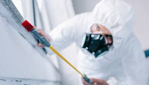 Pest Control for Warehouses in Baldwin Park, CA